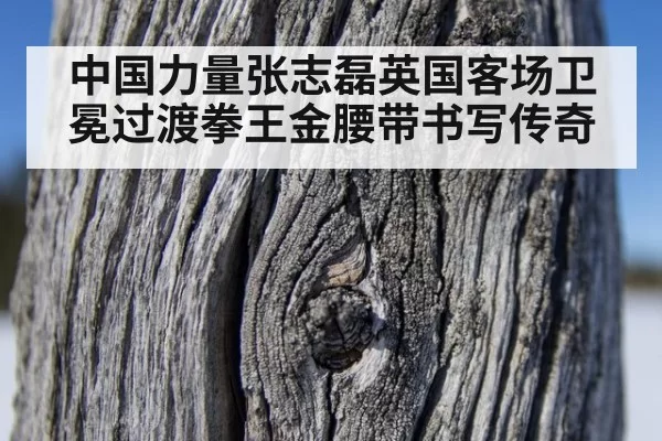 中国力量张志磊英国客场卫冕过渡拳王金腰带书写传奇